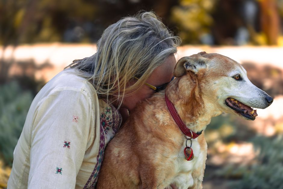 犬の食物アレルギー対応フードの選び方｜原因と見直しのコツ